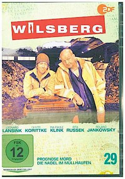 Wilsberg