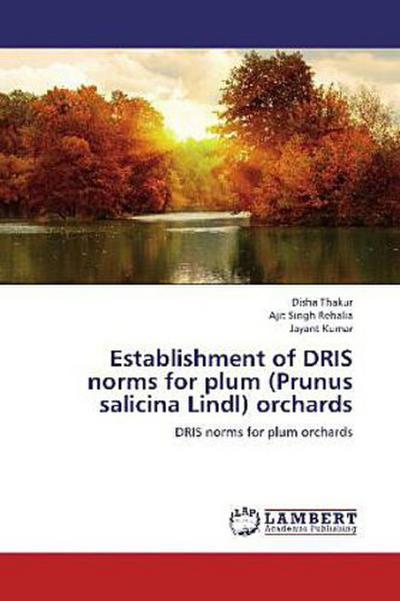 Input handling in agent based micro level simulators