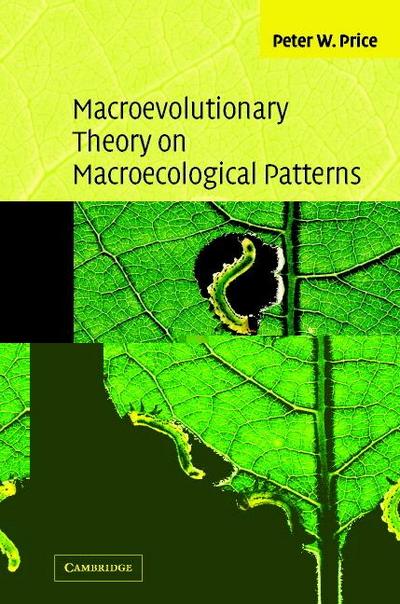 Macroevolutionary Theory on Macroecological Patterns