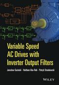 Variable Speed AC Drives with Inverter Output Filt