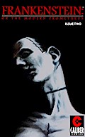 Frankenstein: Or the Modern Prometheus #2