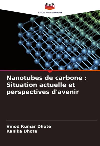Nanotubes de carbone : Situation actuelle et perspectives d’avenir