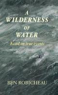 A Wilderness of Water