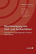 Beschleunigung von Zivil- und Strafverfahren: Zwischen Richtigkeitsgewähr, Fairness und Effizienz