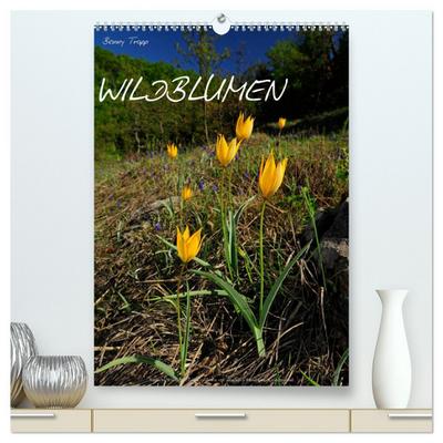 WILDBLUMEN (hochwertiger Premium Wandkalender 2024 DIN A2 hoch), Kunstdruck in Hochglanz