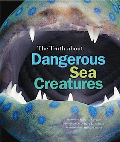 Truth About Dangerous Sea Creatures
