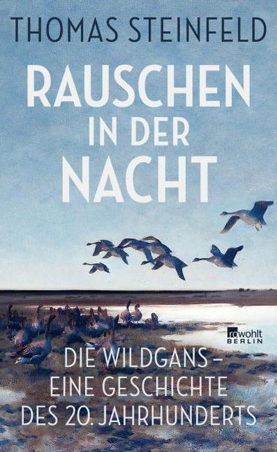 Rauschen in der Nacht
