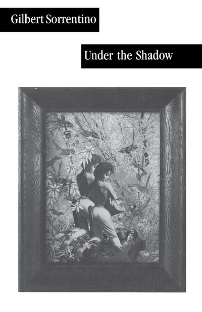 Under the Shadow