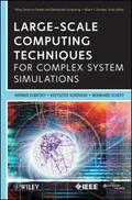 Large-Scale Computing Techniques for Complex Syste