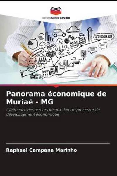 Panorama économique de Muriaé - MG