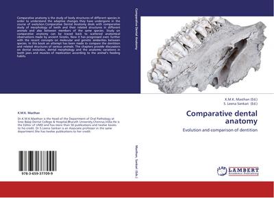 Comparative dental anatomy