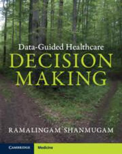 Data-Guided Healthcare Decision Making