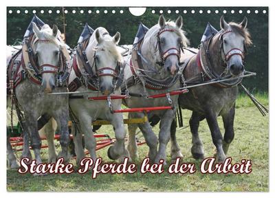Starke Pferde bei der Arbeit (Wandkalender 2024 DIN A4 quer), CALVENDO Monatskalender