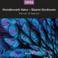 Wunderwerk Natur - Bizarre Strukturen - KUNTH Broschurkalender 2026