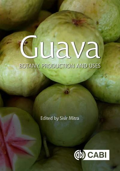 Guava