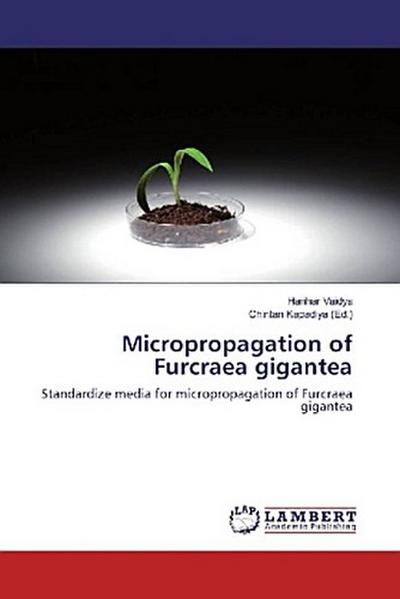 Micropropagation of Furcraea gigantea