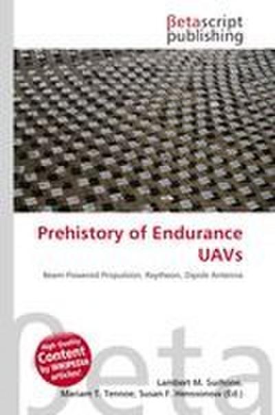 Prehistory of Endurance UAVs