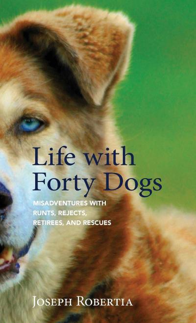 Life with Forty Dogs