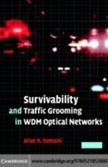 Survivability and Traffic Grooming in WDM Optical 