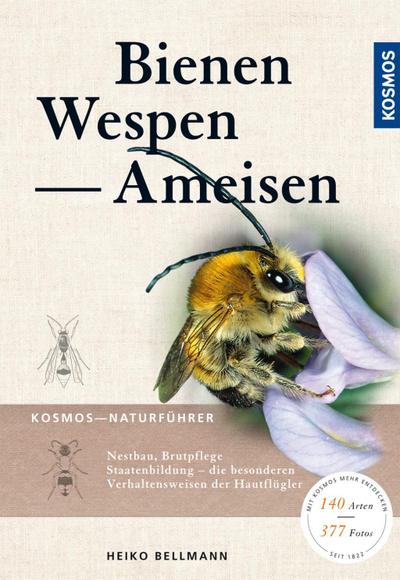 Bienen, Wespen, Ameisen