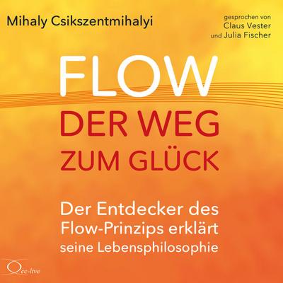Flow - der Weg zum Glück