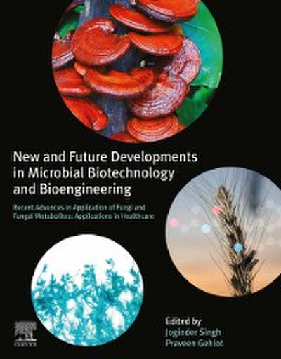 New and Future Developments in Microbial Biotechnology and Bioengineering