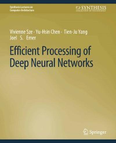 Efficient Processing of Deep Neural Networks