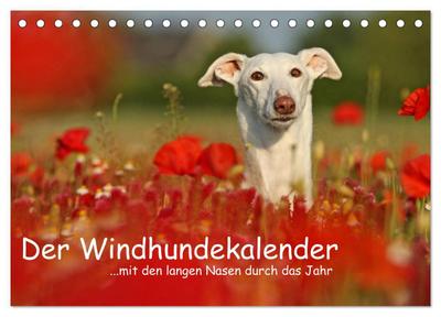 Der Windhundekalender (Tischkalender 2024 DIN A5 quer), CALVENDO Monatskalender