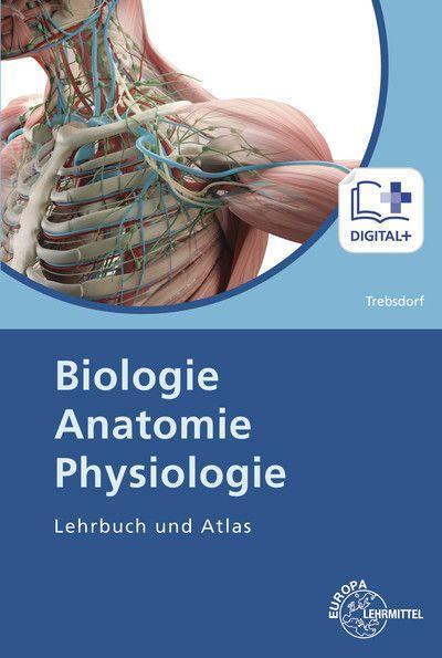 Trebsdorf, M: Biologie, Anatomie, Physiologie