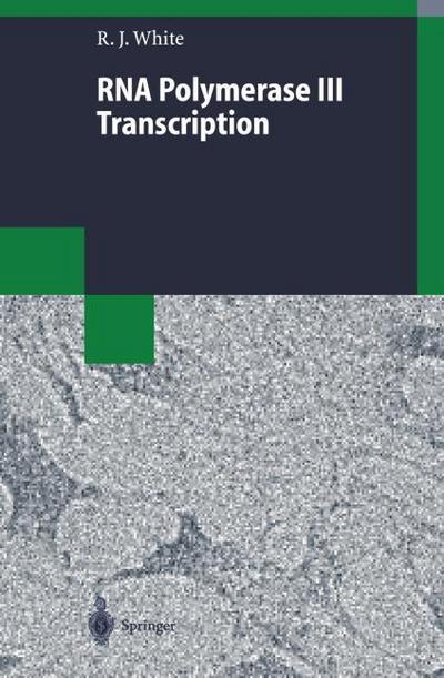 RNA Polymerase III Transcription
