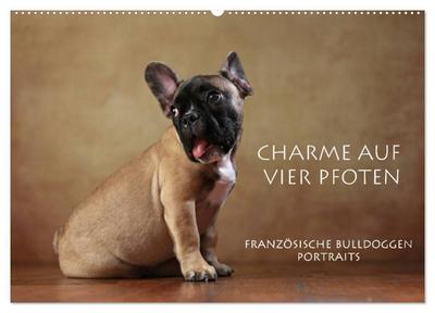 Charme auf vier Pfoten - Französische Bulldoggen Portraits (Wandkalender 2026 DIN A2 quer), CALVENDO Monatskalender