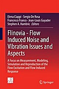 Flinovia - Flow Induced Noise and Vibration Issues and Aspects
