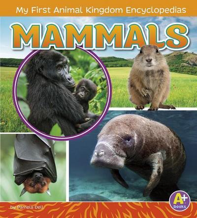 MAMMALS