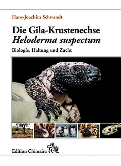 Die Gila-Krustenechse Heloderma suspectum.