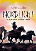 Nordlicht 2