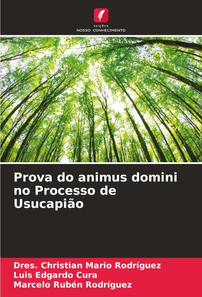 Prova do animus domini no Processo de Usucapião