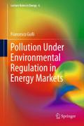 Pollution Under Environmental Regulation in Energy Markets (Lecture Notes in Energy, 6)
