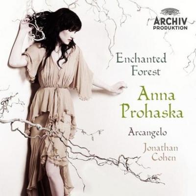 Enchanted Forest, 1 Audio-CD