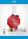 A Rainy Day in New York