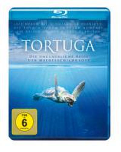 Finn, M: Tortuga - Die unglaubliche Reise der Meeresschildkr