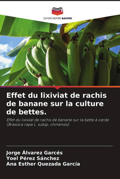 Effet du lixiviat de rachis de banane sur la culture de bettes.