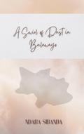 A Swirl of Dust in Bulawayo