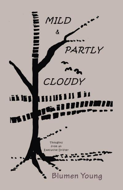 Mild and Partly Cloudy