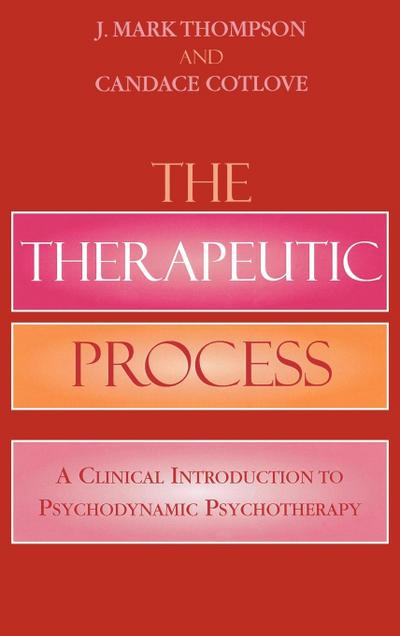 Therapeutic Process