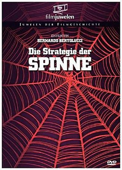 Die Strategie der Spinne