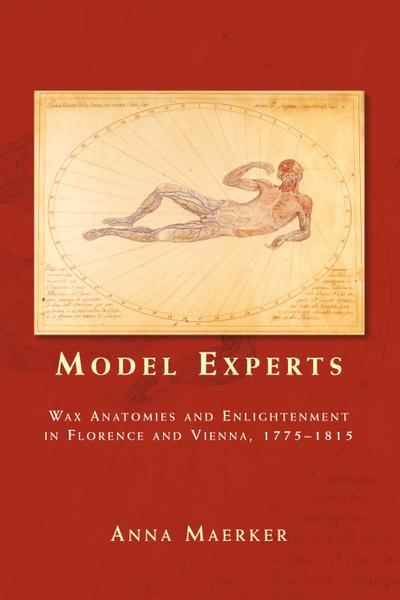 Model experts