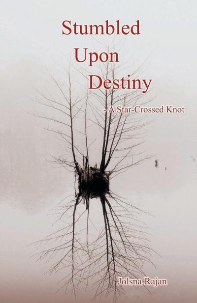 Stumbled Upon Destiny