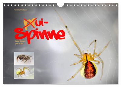 ui - Spinne. Kleine Spinnen - groß im Bild (Wandkalender 2026 DIN A4 quer), CALVENDO Monatskalender
