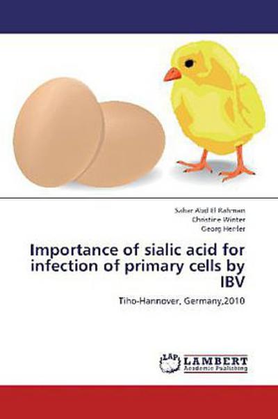 Importance of sialic acid for infection of primary cells by IBV