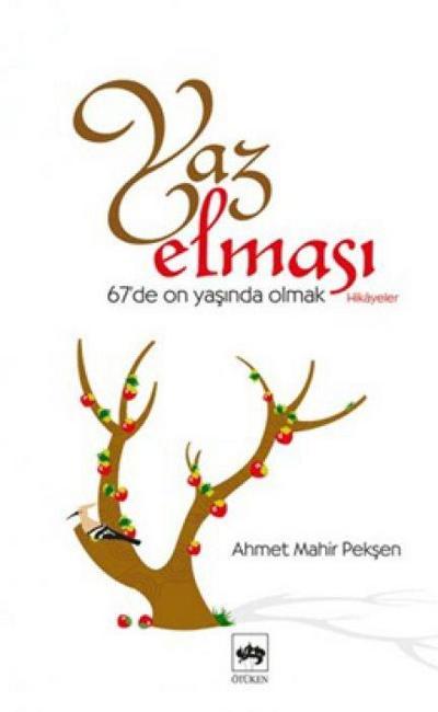 Yaz Elmasi